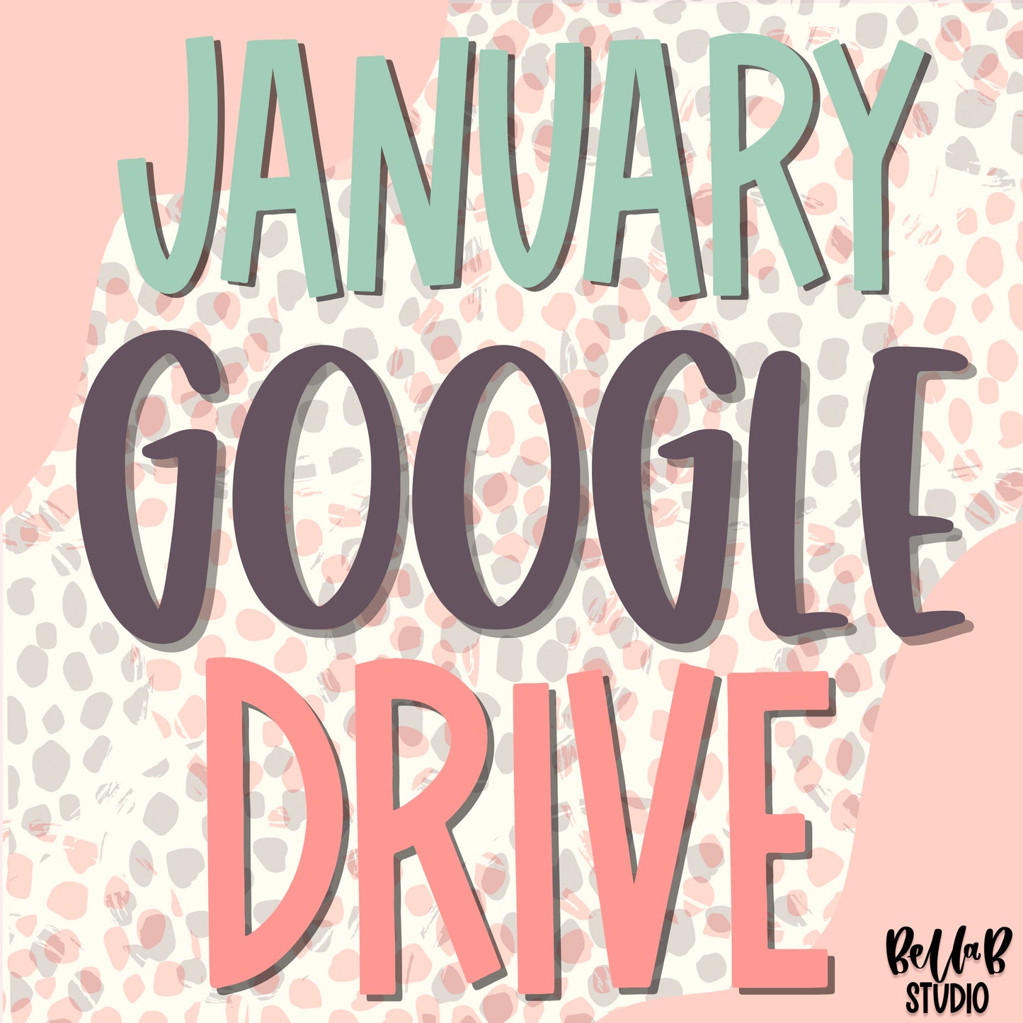 JANUARY Drive Access- 2021