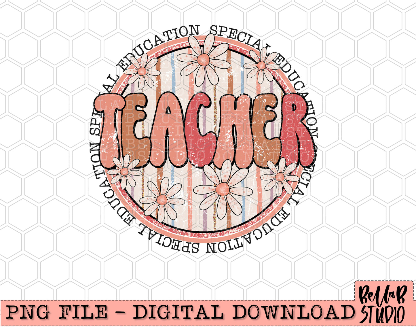 Boho Retro Daisies- Special Education Teacher PNG Design