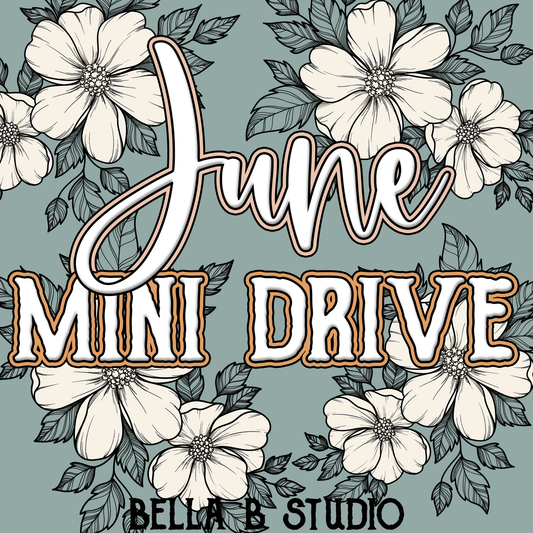 June Mini Drive Access - 2023