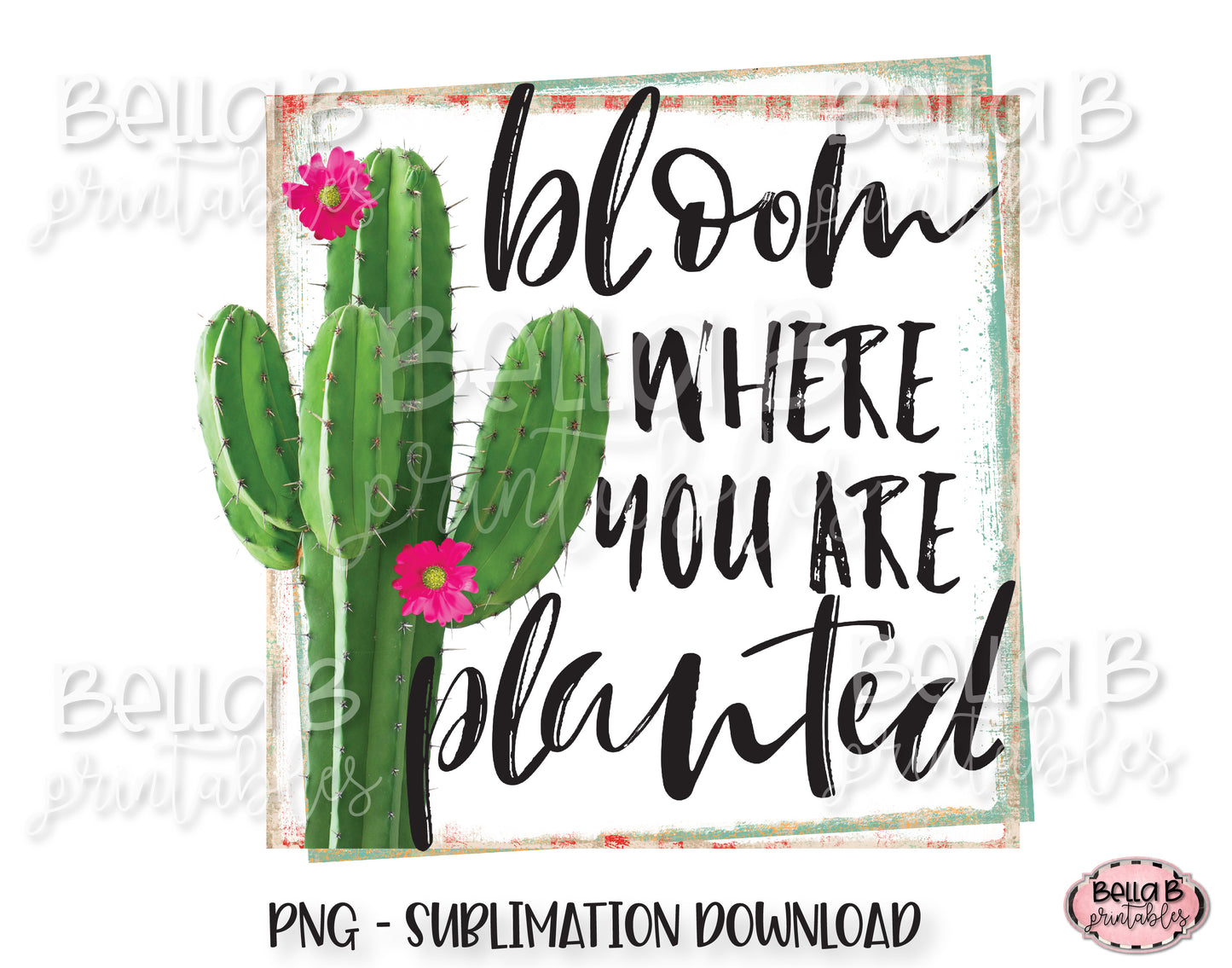 Cactus Sublimation Design, Bloom Where You Are Planted Sublimation