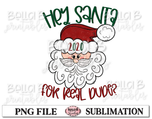 Hey Santa 2020 For Real Dude Sublimation Design